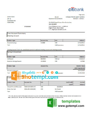 Hong Kong Citibank credit card statement template in .xls and .pdf file format