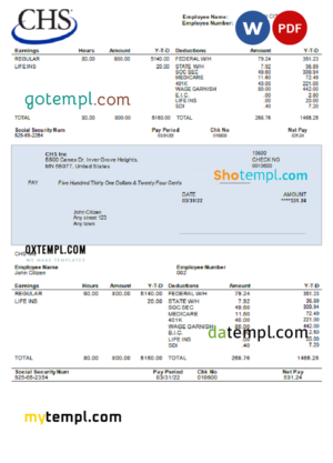 USA CHS Inc. agricultural company pay stub Word and PDF template